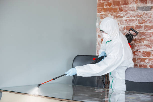 Why You Should Choose Our Mold Remediation Services in Rosenhayn, NJ